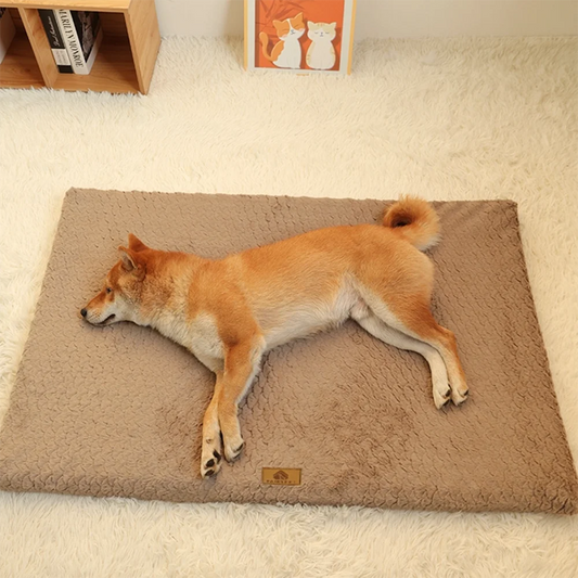 Orthopedic foam dog bed – photo 2