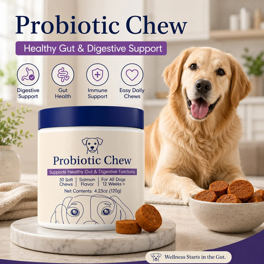A jar of Probiotic Chew dog treats is shown on a marble pedestal in a bright kitchen setting, with a golden retriever sitting behind it and a bowl of round brown chews in front. Large text at the top reads 'Probiotic Chew' with supporting claims about digestive health, gut health, immune support, and easy daily chews.