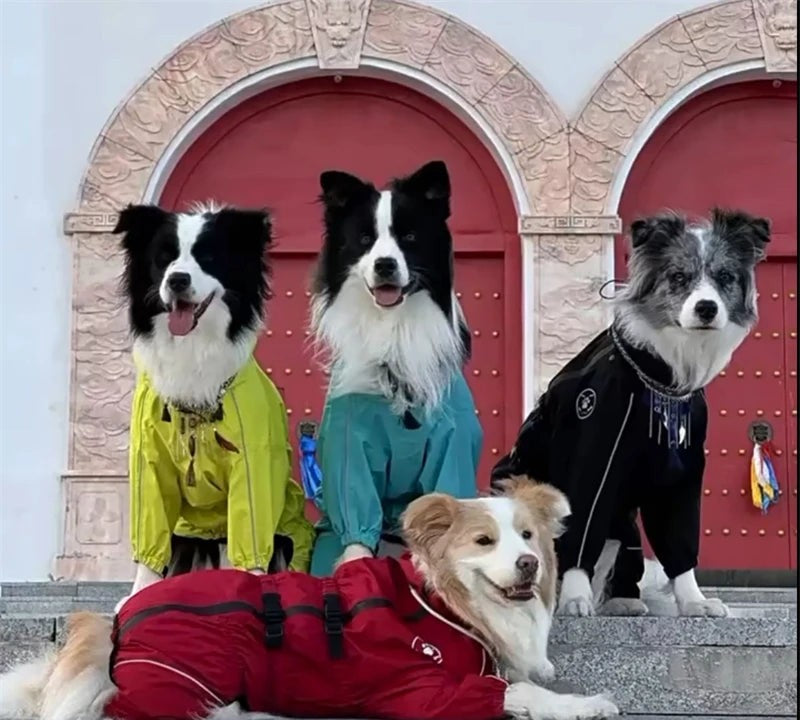 Four happy dogs wearing colourful Kip & Wag waterproof raincoats