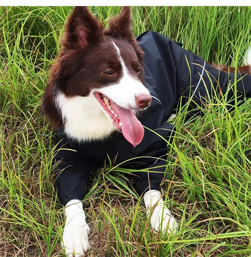 Waterproof reflective dog raincoat – photo 21