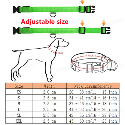 Rechargeable LED dog collar – photo 5