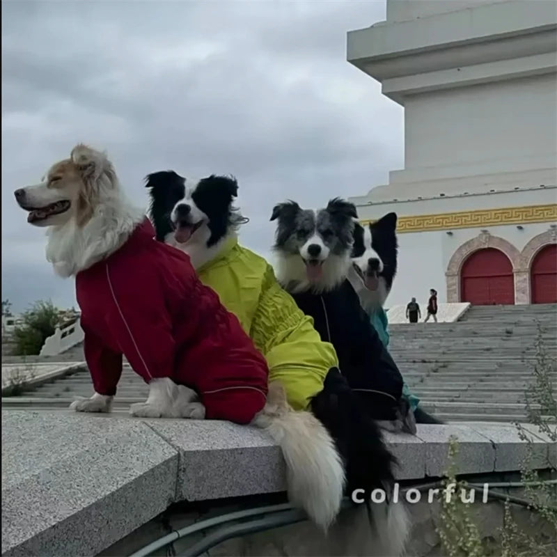 Waterproof reflective dog raincoat – photo 34