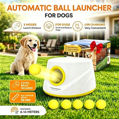 Automatic dog ball launcher