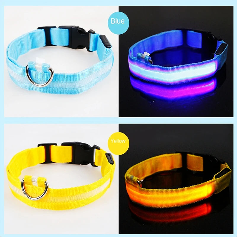 Rechargeable LED dog collar – photo 28