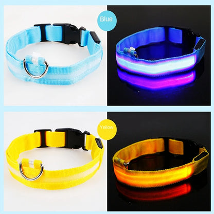 Rechargeable LED dog collar – photo 28