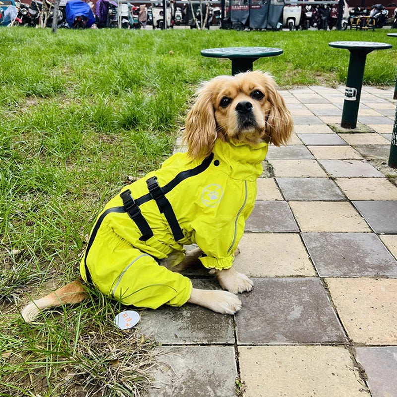 Waterproof reflective dog raincoat – photo 19