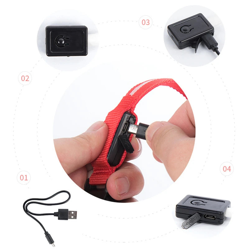 Rechargeable LED dog collar – photo 22