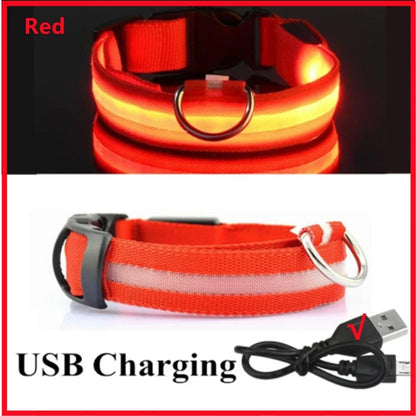 Rechargeable LED dog collar – photo 32