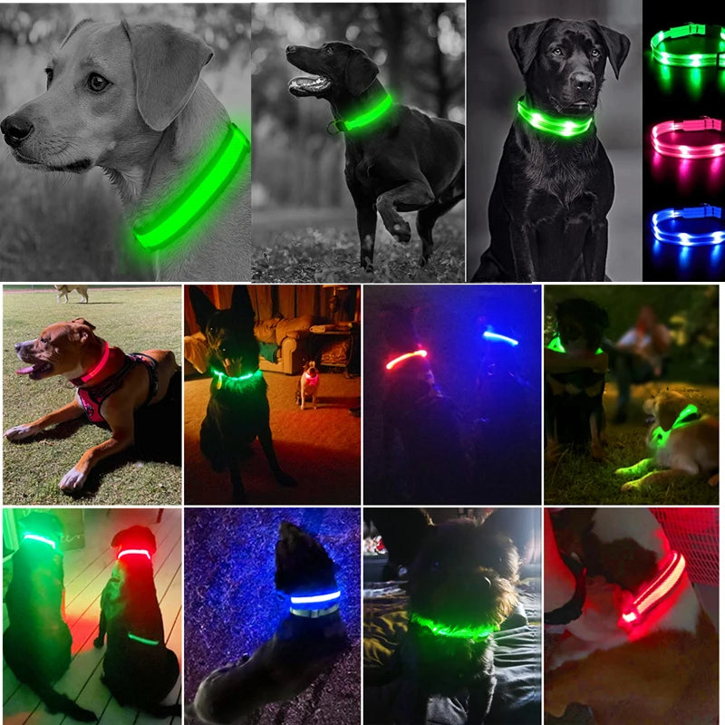 Rechargeable LED dog collar – photo 18