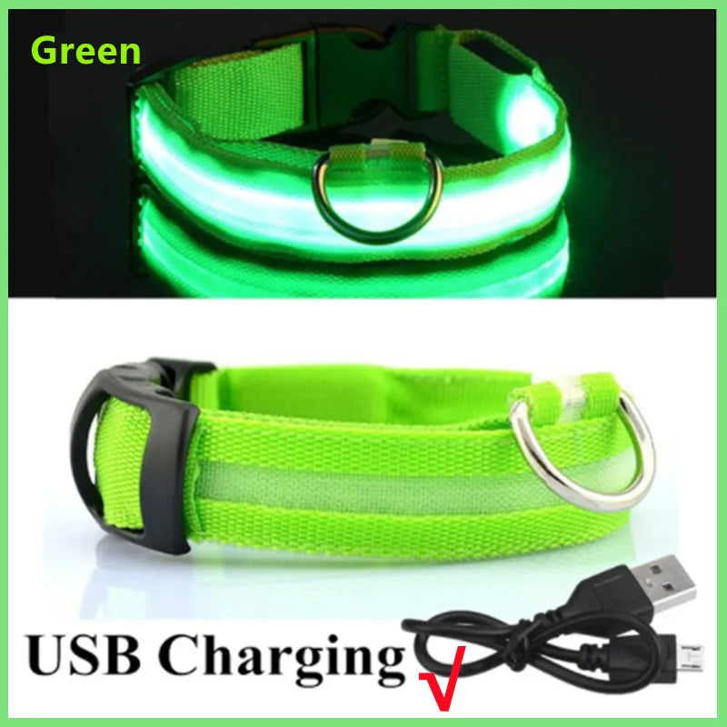 Rechargeable LED dog collar – photo 15
