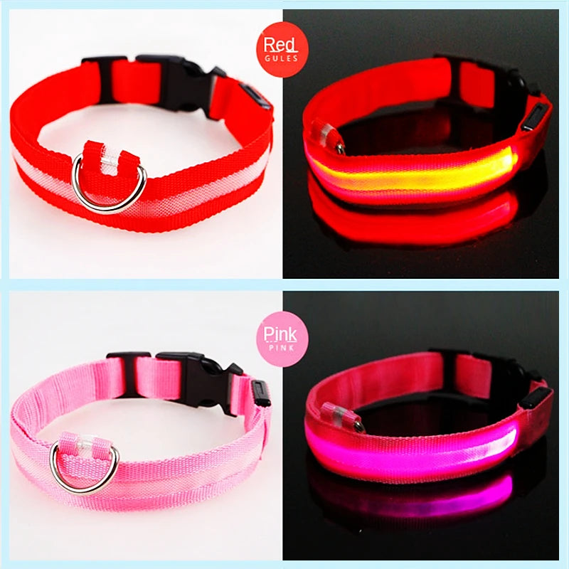Rechargeable LED dog collar – photo 29