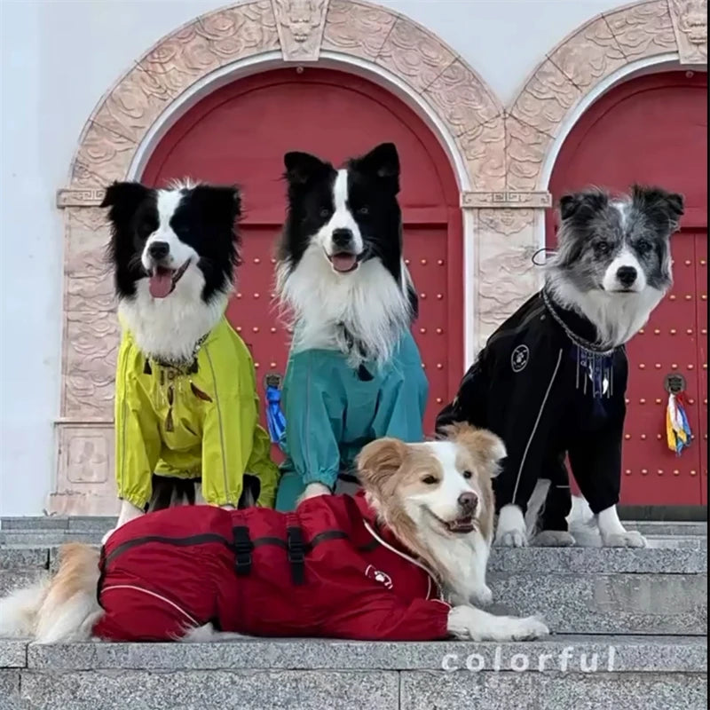 Waterproof reflective dog raincoat – photo 5