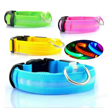 Rechargeable LED dog collar – photo 3
