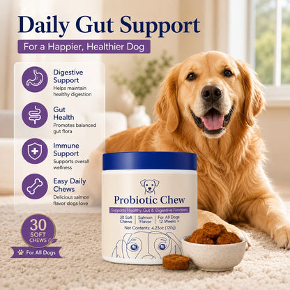 Golden retriever sitting on a beige carpet next to a jar of Probiotic Chew dog supplements and a small bowl of chews, with large text reading 'Daily Gut Support' and product benefits listed on the left.