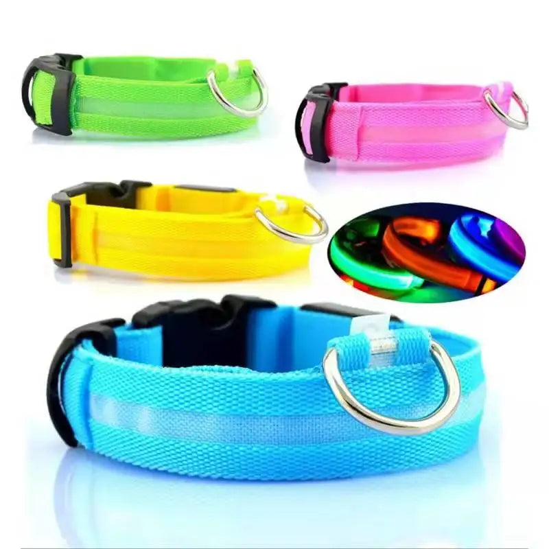 Rechargeable LED dog collar – photo 11