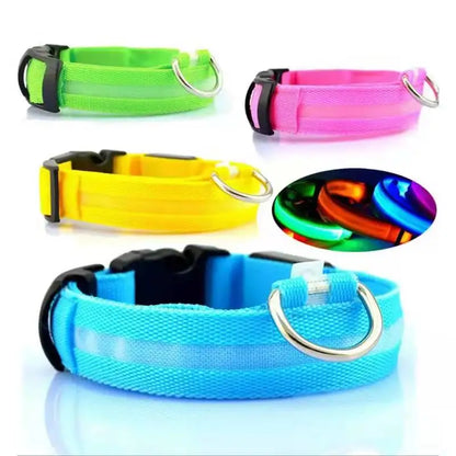 Rechargeable LED dog collar – photo 11