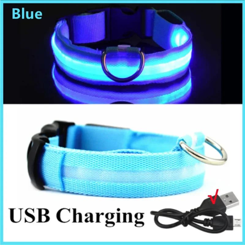Rechargeable LED dog collar – photo 36
