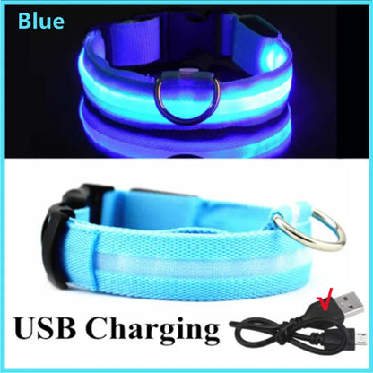 Rechargeable LED dog collar – photo 36