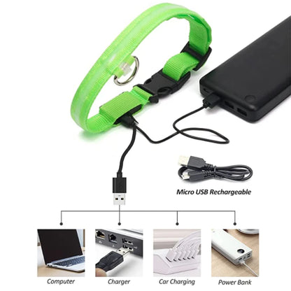 Rechargeable LED dog collar – photo 23
