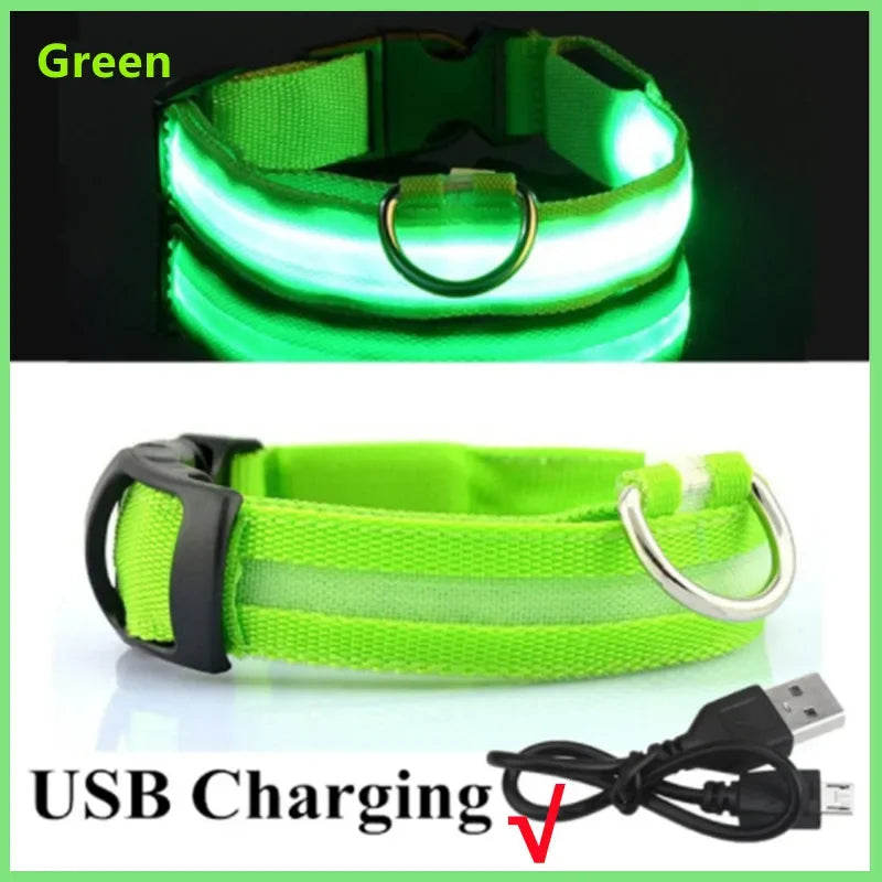 Rechargeable LED dog collar – photo 35