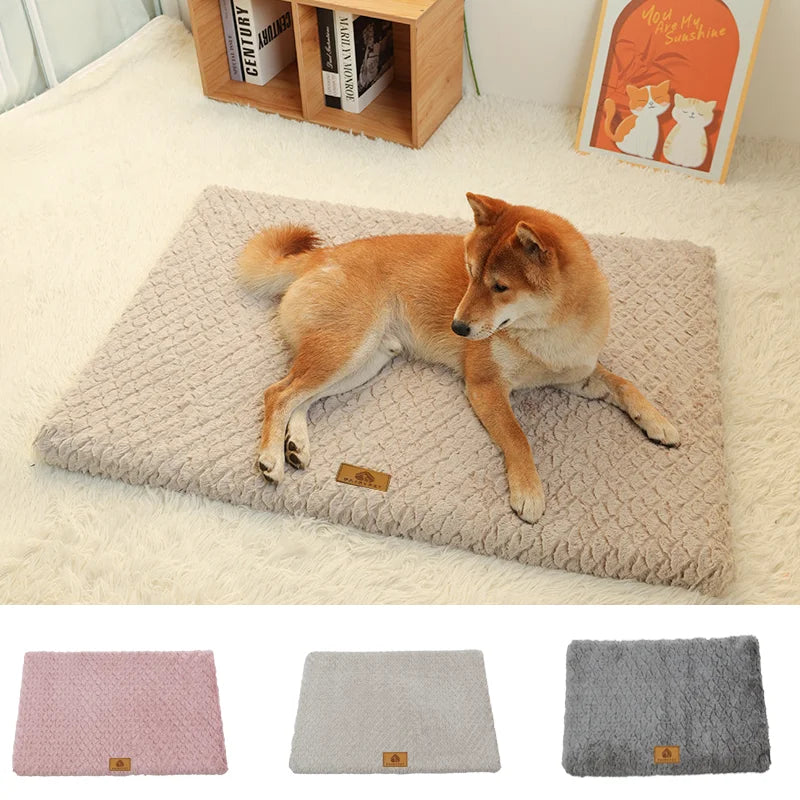 Orthopedic foam dog bed