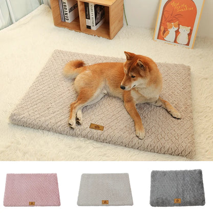Orthopedic foam dog bed