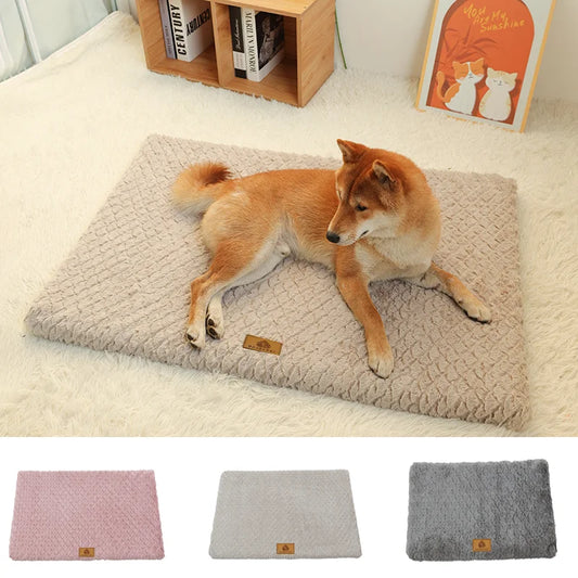 Orthopedic foam dog bed