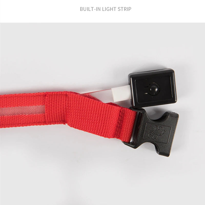 Rechargeable LED dog collar – photo 13