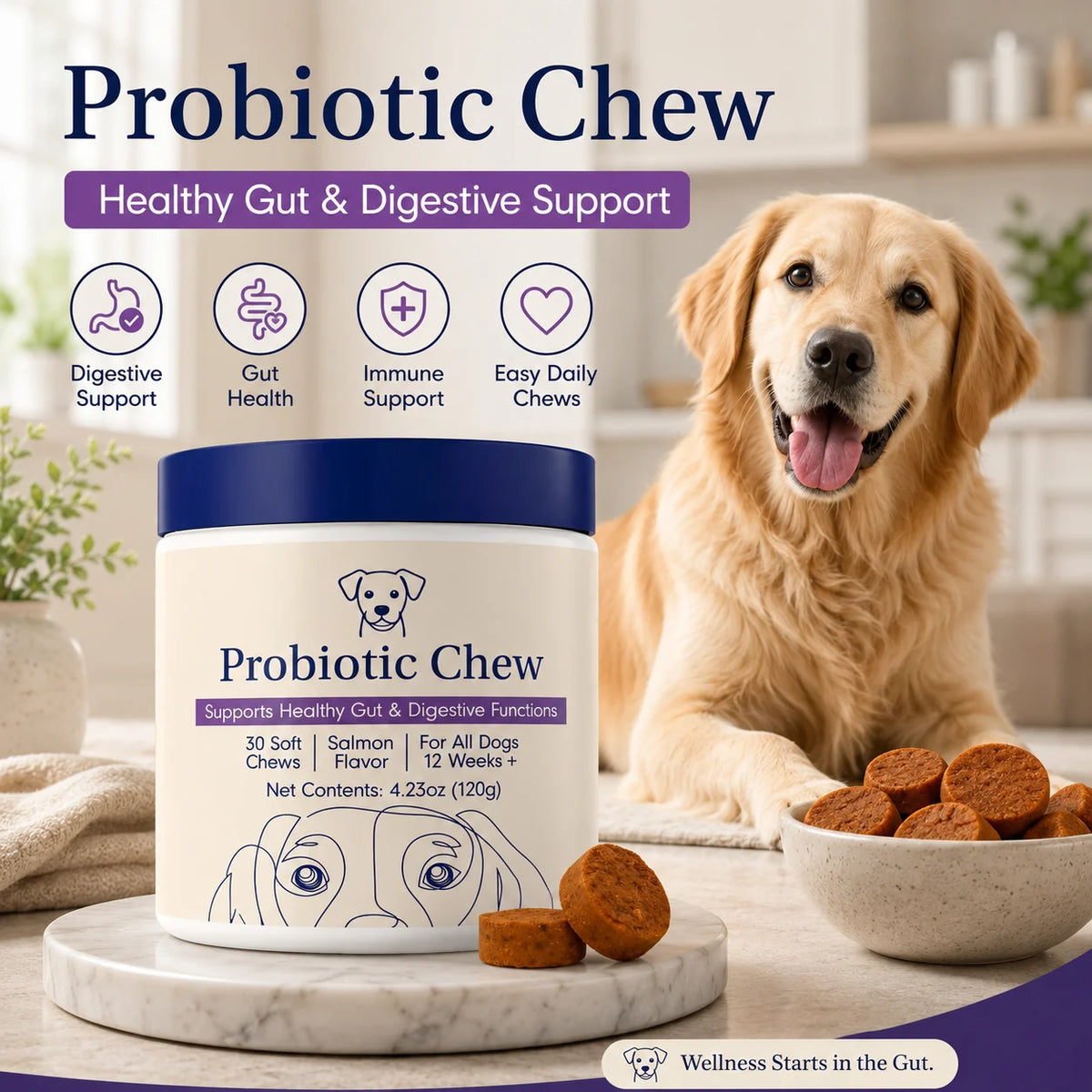 A jar of Probiotic Chew dog treats is shown on a marble pedestal in a bright kitchen setting, with a golden retriever sitting behind it and a bowl of round brown chews in front. Large text at the top reads 'Probiotic Chew' with supporting claims about digestive health, gut health, immune support, and easy daily chews.