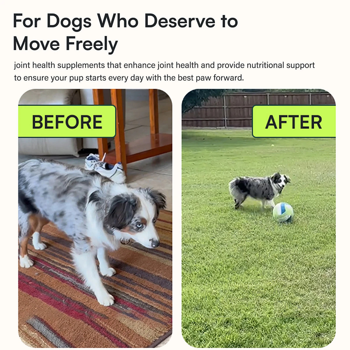 Hip and joint dog chews – photo 2