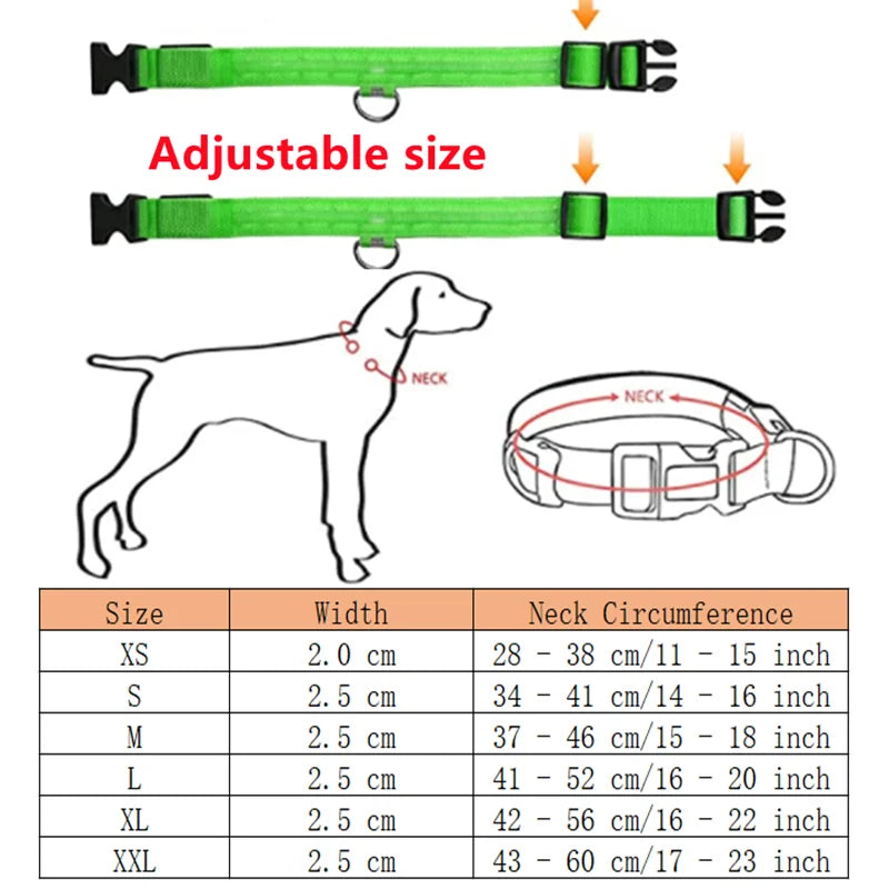 Rechargeable LED dog collar – photo 8