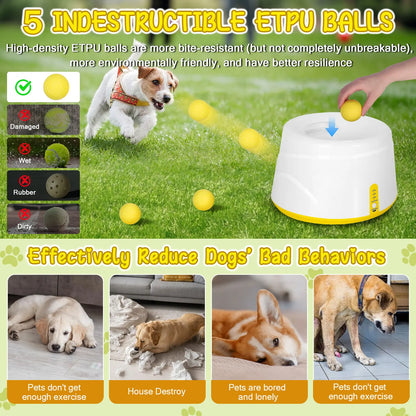 Automatic dog ball launcher – photo 5