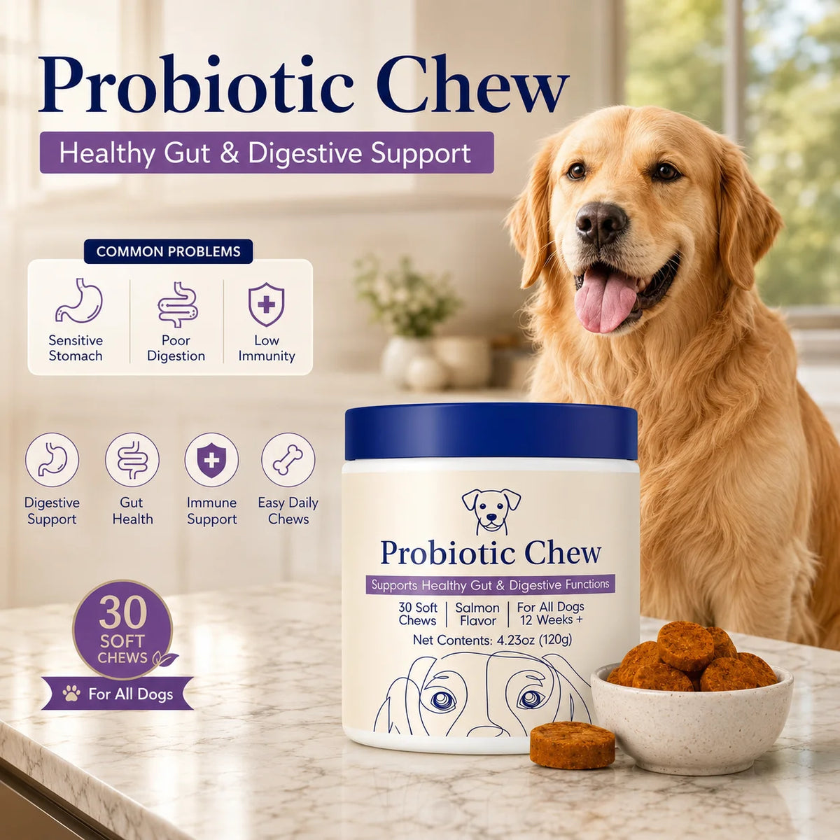 A golden retriever dog sits beside a jar of Probiotic Chew dog treats on a kitchen counter, with a bowl of round brown chews in front. The image includes marketing text reading 'Probiotic Chew' and icons about common dog health problems and benefits.