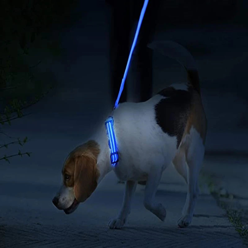 Rechargeable LED dog collar – photo 10