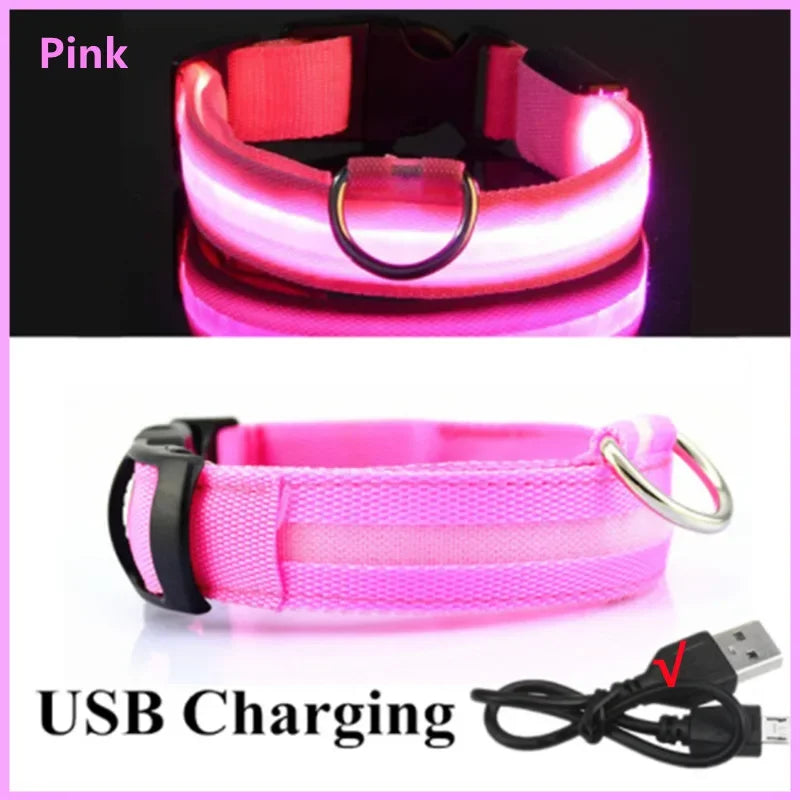Rechargeable LED dog collar – photo 33