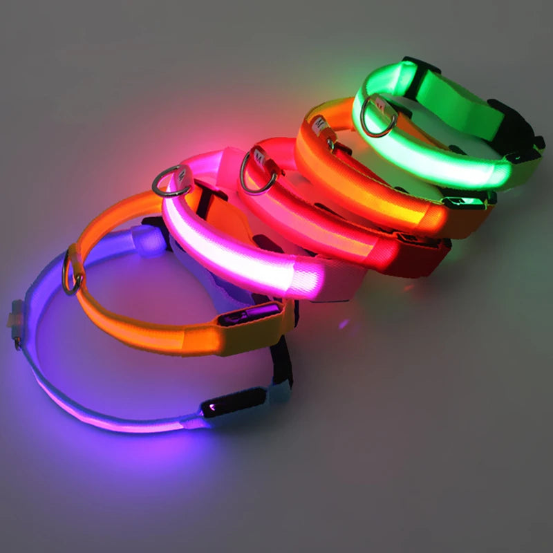 Rechargeable LED dog collar – photo 24
