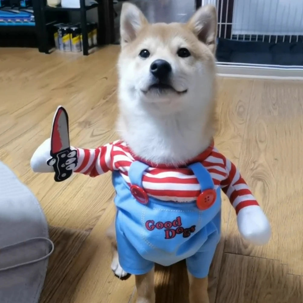 Halloween dog costume – photo 15