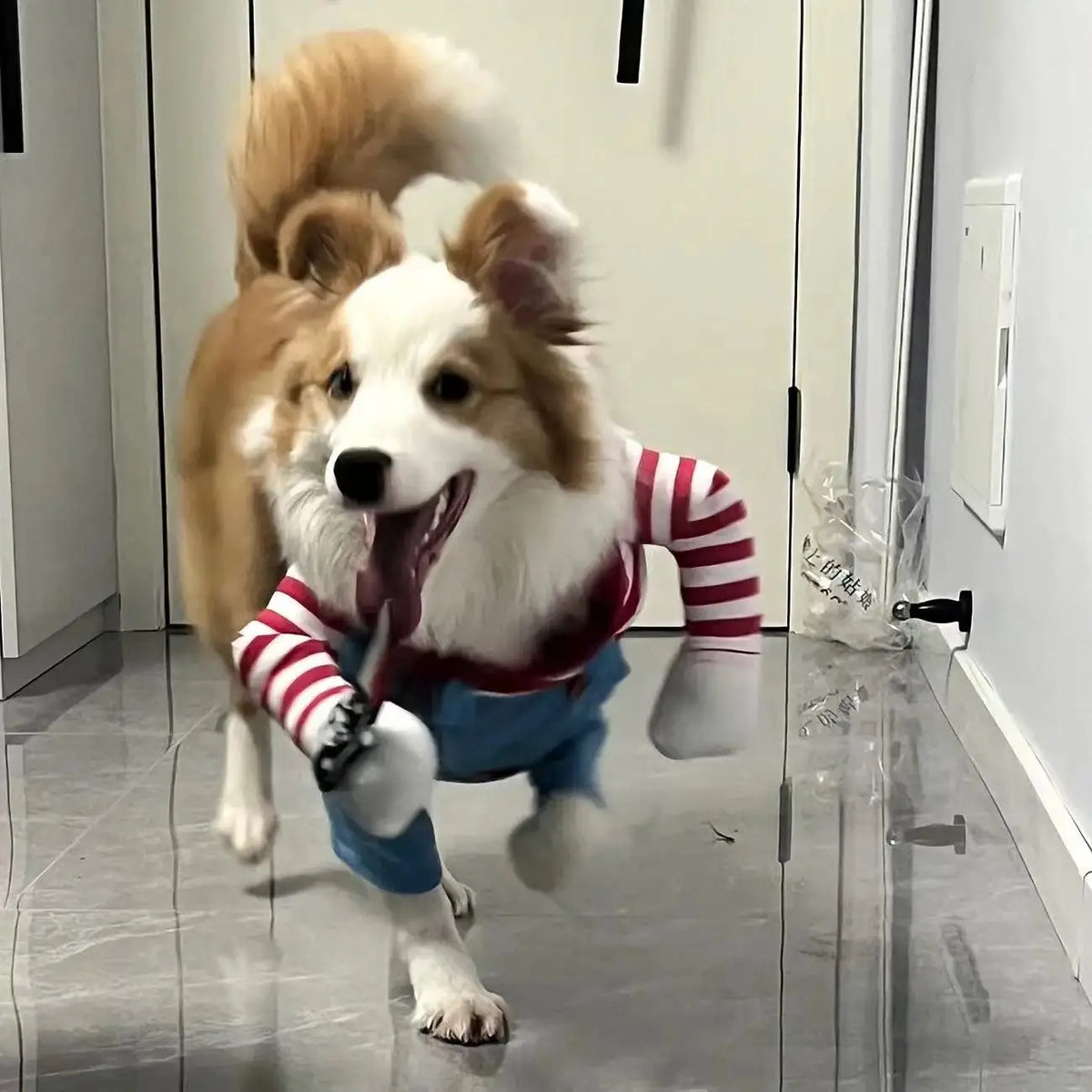 Halloween dog costume – photo 18