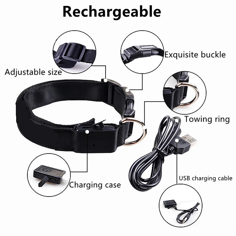 Rechargeable LED dog collar – photo 21