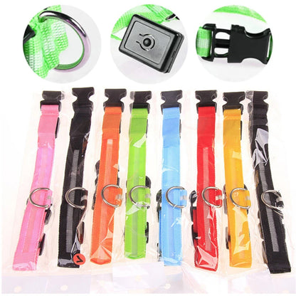Rechargeable LED dog collar – photo 27