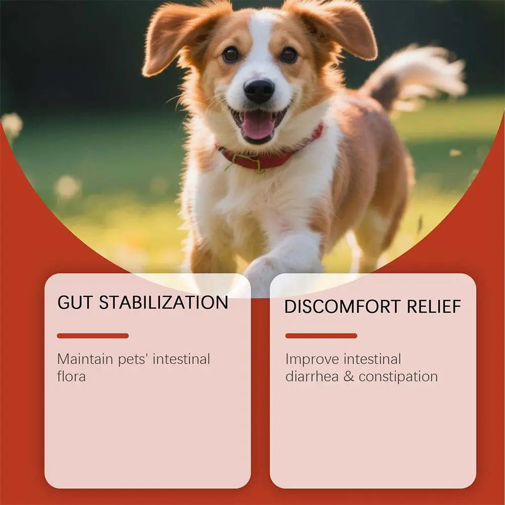 Dog probiotic soft granules – photo 16