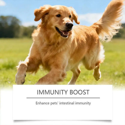 Dog probiotic soft granules – photo 15