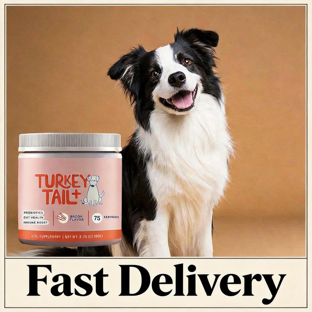 Dog probiotic soft granules