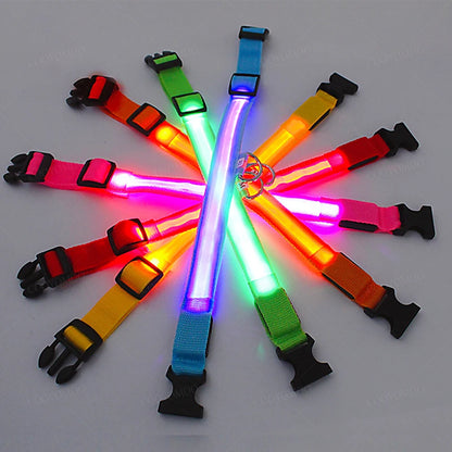 Rechargeable LED dog collar – photo 2