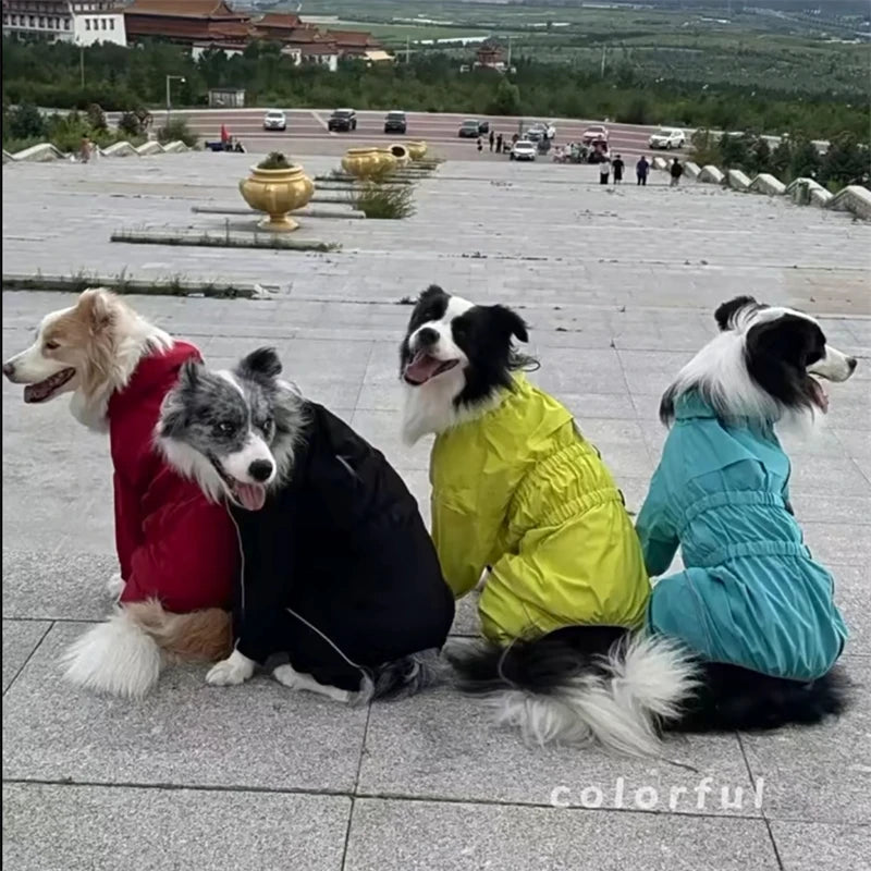 Waterproof reflective dog raincoat – photo 35