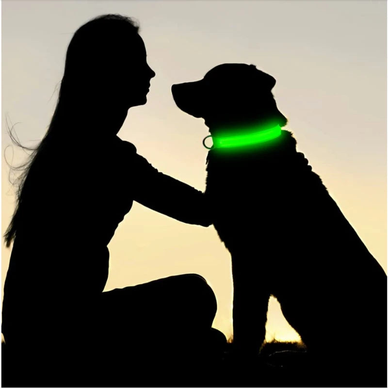 Rechargeable LED dog collar – photo 17