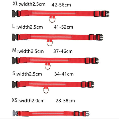 Rechargeable LED dog collar – photo 7