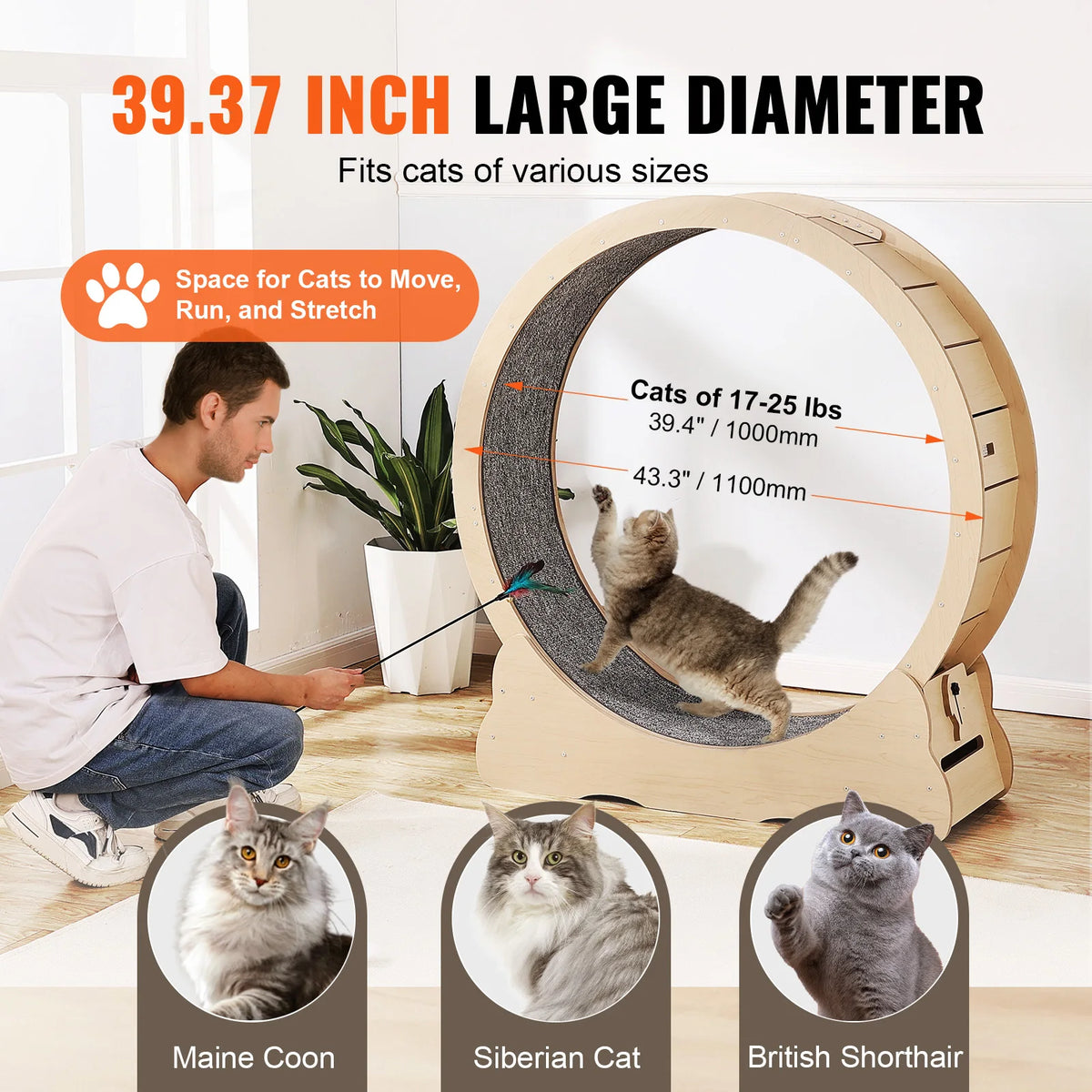 Wooden cat exercise wheel – photo 4