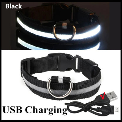 Rechargeable LED dog collar – photo 34
