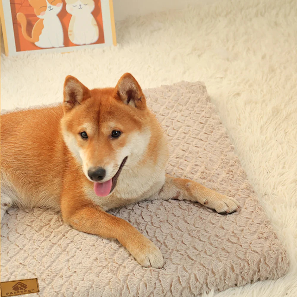 Orthopedic foam dog bed – photo 4